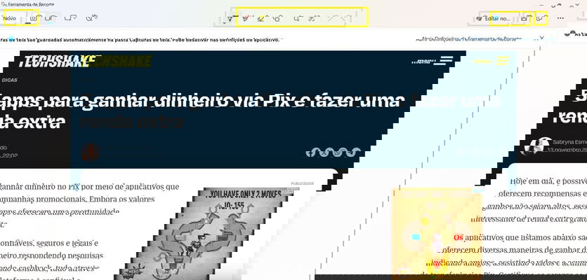 como tirar print no pc