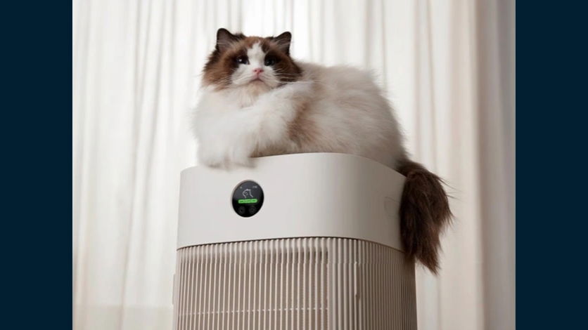 Xiaomi purificador de ar